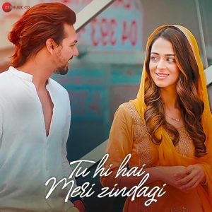Tu Hi Hai Meri Zindagi (2021) Album Art
