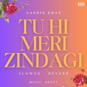 Tu Hi Meri Zindagi (Slowed + Reverb)