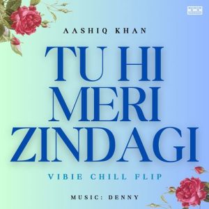Tu Hi Meri Zindagi (Vibie Chill Flip) (2025) Album Art
