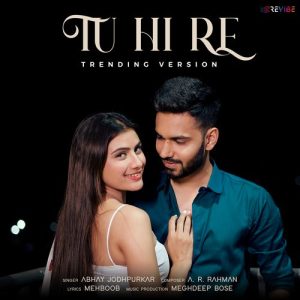 Tu Hi Re (Trending Version) (2023) Album Art