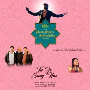 Tu Jo Sang Hai (2022) Album Art