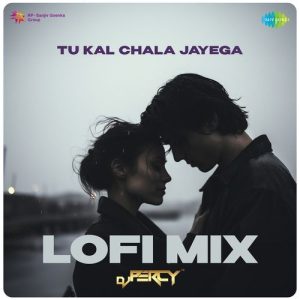 Tu Kal Chala Jayega – Lofi Mix