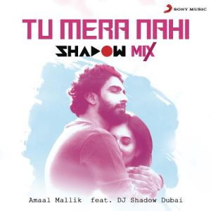 Tu Mera Nahi (Shadow Mix) (2020) Album Art