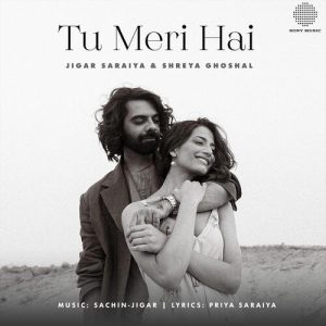 Tu Meri Hai (2024) Album Art