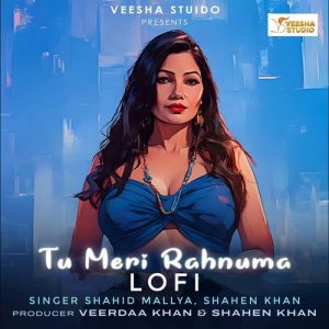 Tu Meri Rahnuma (Lofi) (2024) Album Art