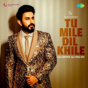Tu Mile Dil Khile (2023) Album Art