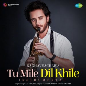 Tu Mile Dil Khile – Instrumental