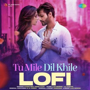Tu Mile Dil Khile – Lofi (2023) Album Art