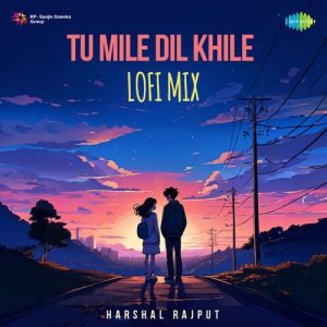 Tu Mile Dil Khile – Lofi Mix