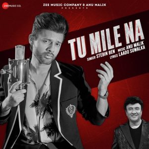 Tu Mile Na (2024) Album Art