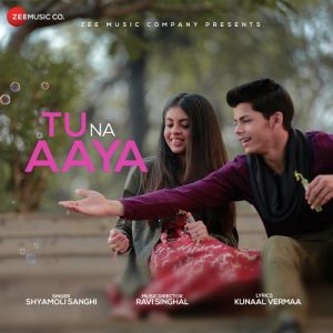 Tu Na Aaya (2018) Album Art