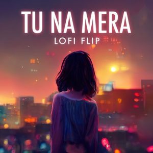 Tu Na Mera (Lofi Flip) (2023) Album Art