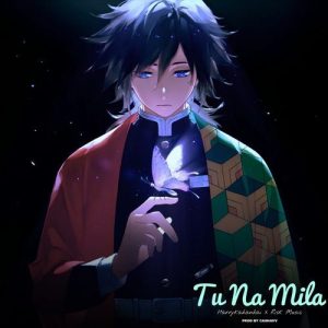 Tu Na Mila (2025) Album Art