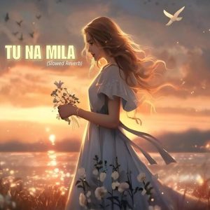 Tu Na Mila (Slowed Reverb) (2024) Album Art