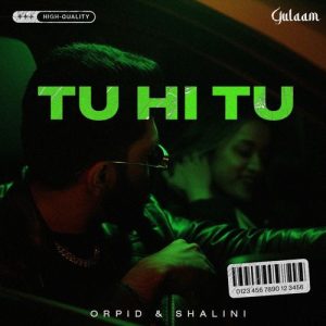 Tu hi tu