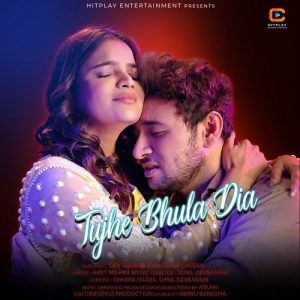 Tujhe Bhula Dia (2025) Album Art