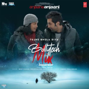 Tujhe Bhula Diya – Bollytech Mix (2024) Album Art