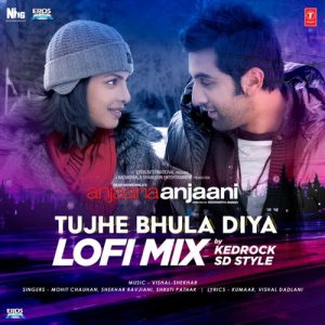 Tujhe Bhula Diya Lofi Mix (2022) Album Art