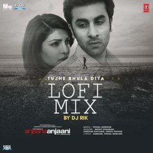 Tujhe Bhula Diya Lofi Mix (2024) Album Art