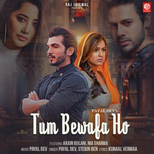 Tum Bewafa Ho (2021) Album Art