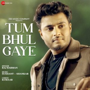 Tum Bhul Gaye (2024) Album Art