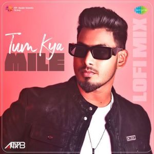 Tum Kya Mile – LoFi Mix (2024) Album Art