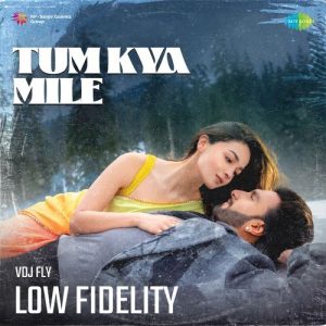 Tum Kya Mile – Low Fidelity (2024) Album Art