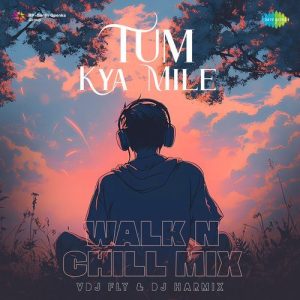 Tum Kya Mile – Walk n Chill Mix (2024) Album Art