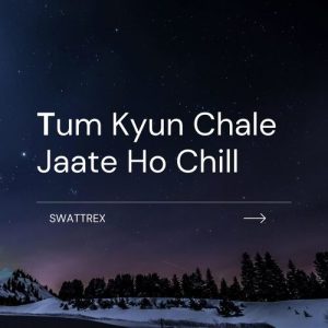Tum Kyun Chale Jaate Ho Chill (2021) Album Art