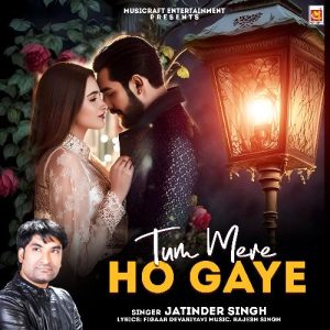 Tum Mere Ho Gaye (2024) Album Art