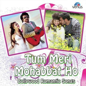 Tum Meri Mohabbat Ho – Bollywood Romantic Songs (2013) Album Art