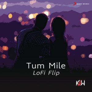Tum Mile (Lofi Flip) (2021) Album Art
