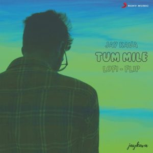 Tum Mile (Lofi Flip) (2022) Album Art