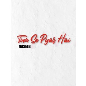 Tum Se Pyar Hai (2023) Album Art