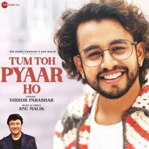 Tum Toh Pyaar Ho (2024) Album Art