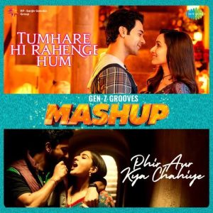 Tumhare Hi Rahenge Hum x Phir Aur Kya Chahiye – Mashup (2024) Album Art