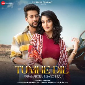 Tumhe Dil (2023) Album Art