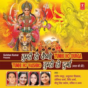 Tumhi Ho Vaishno Tumhi Ho Durga (2012) Album Art
