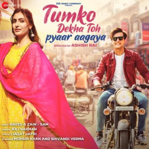 Tumko Dekha Toh Pyaar Aagaya (2022) Album Art