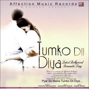Tumko Dil Diya (2015) Album Art