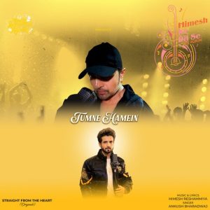 Tumne Hamein (2023) Album Art