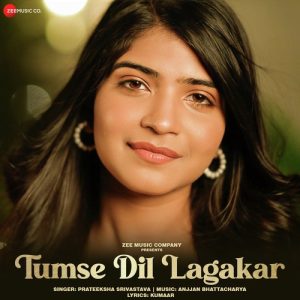 Tumse Dil Lagakar (2024) Album Art