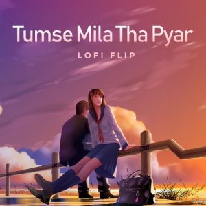 Tumse Mila Tha Pyar (Lofi Flip) (2024) Album Art