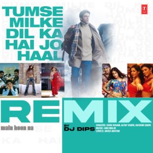 Tumse Milke Dil Ka Hai Jo Haal Remix (2024) Album Art