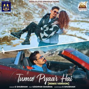 Tumse Pyaar Hai (Remix Version) (2024) Album Art