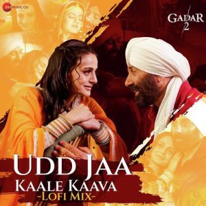 Udd Jaa Kaale Kaava LoFi by Dj Raahul Pai & Deejay Rax (2023) Album Art