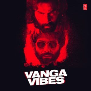 Vanga Vibes (2023) Album Art