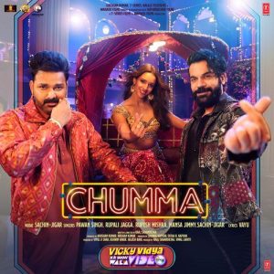 Vicky Vidya Ka Woh Wala Video (2024) Album Art