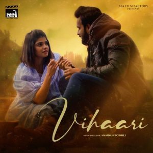 “Vihaari” (2025) Album Art