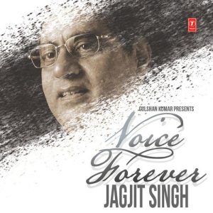 Voice Forever (2013) Album Art